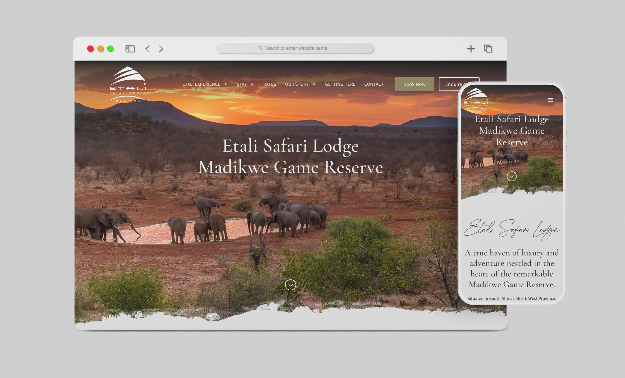 Big Beard Web Solutions Projects Etali Safari Lodge