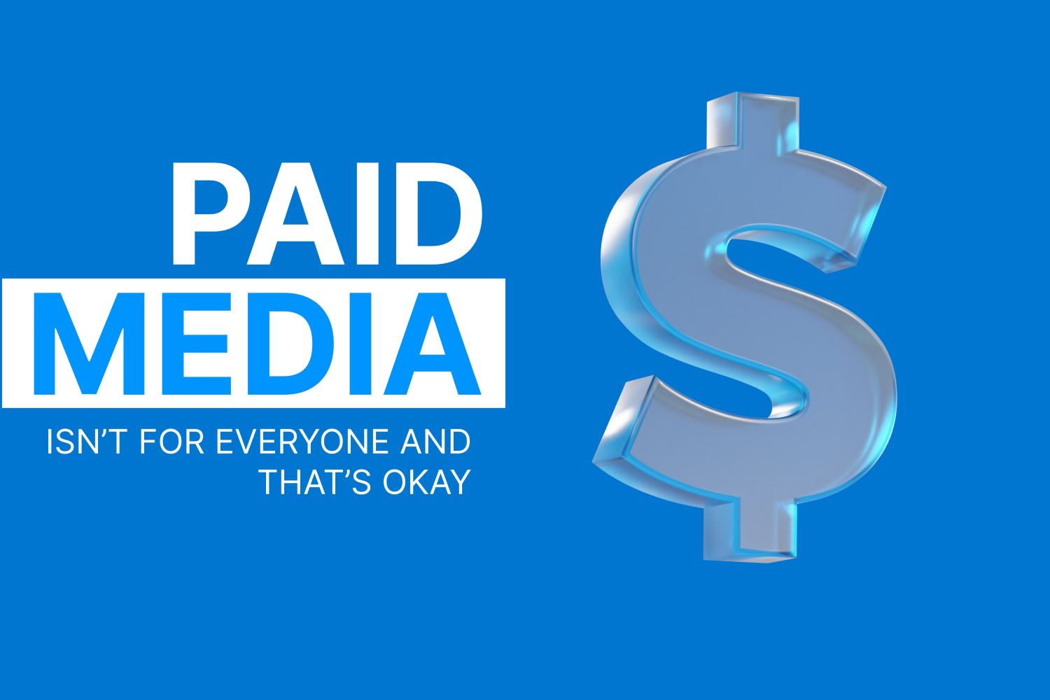 paid media big beard web solutions